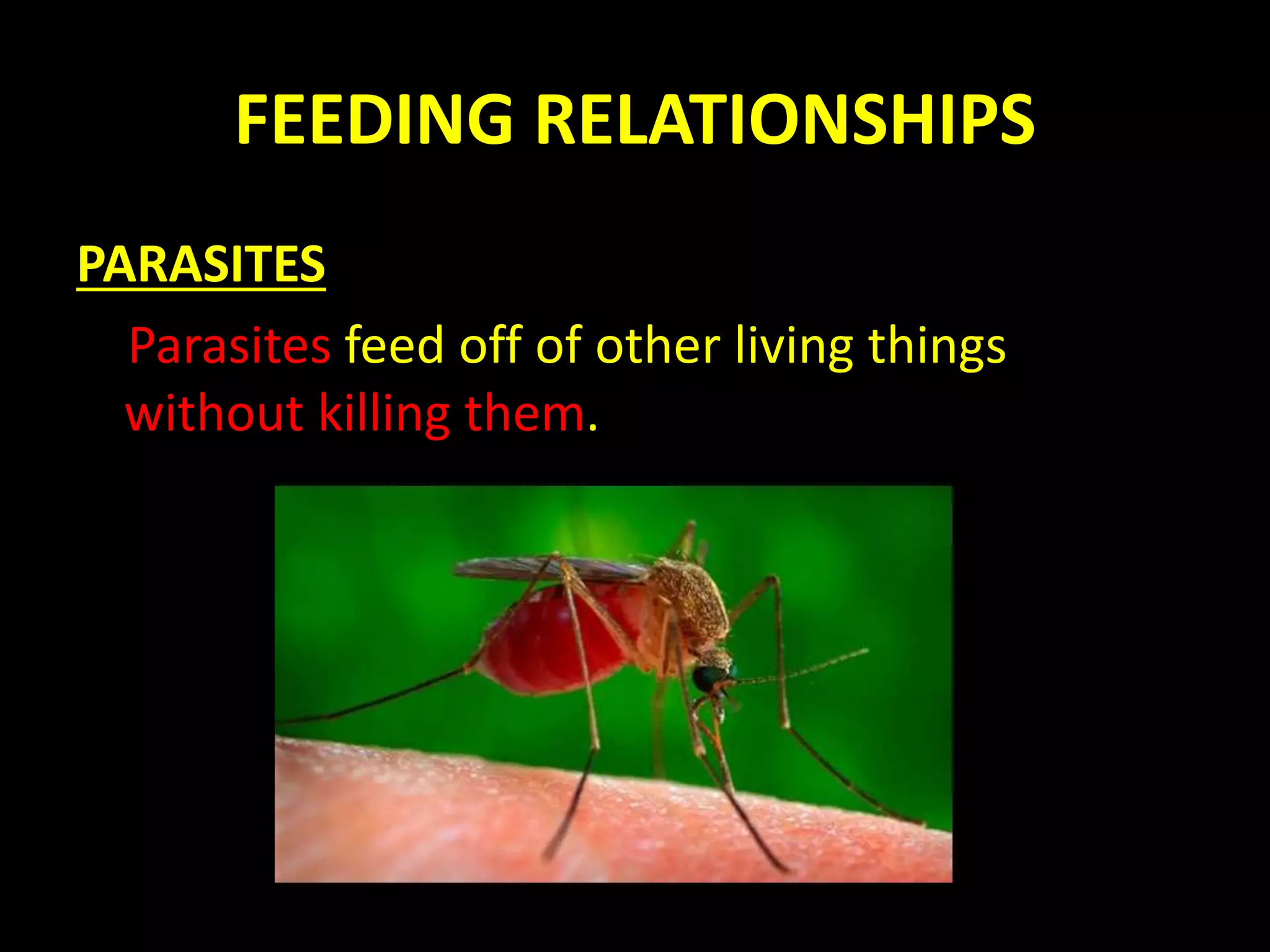 FEEDING RELATIONSHIPS
PARASITES
Parasites feed off of other living things
without killing them.
 