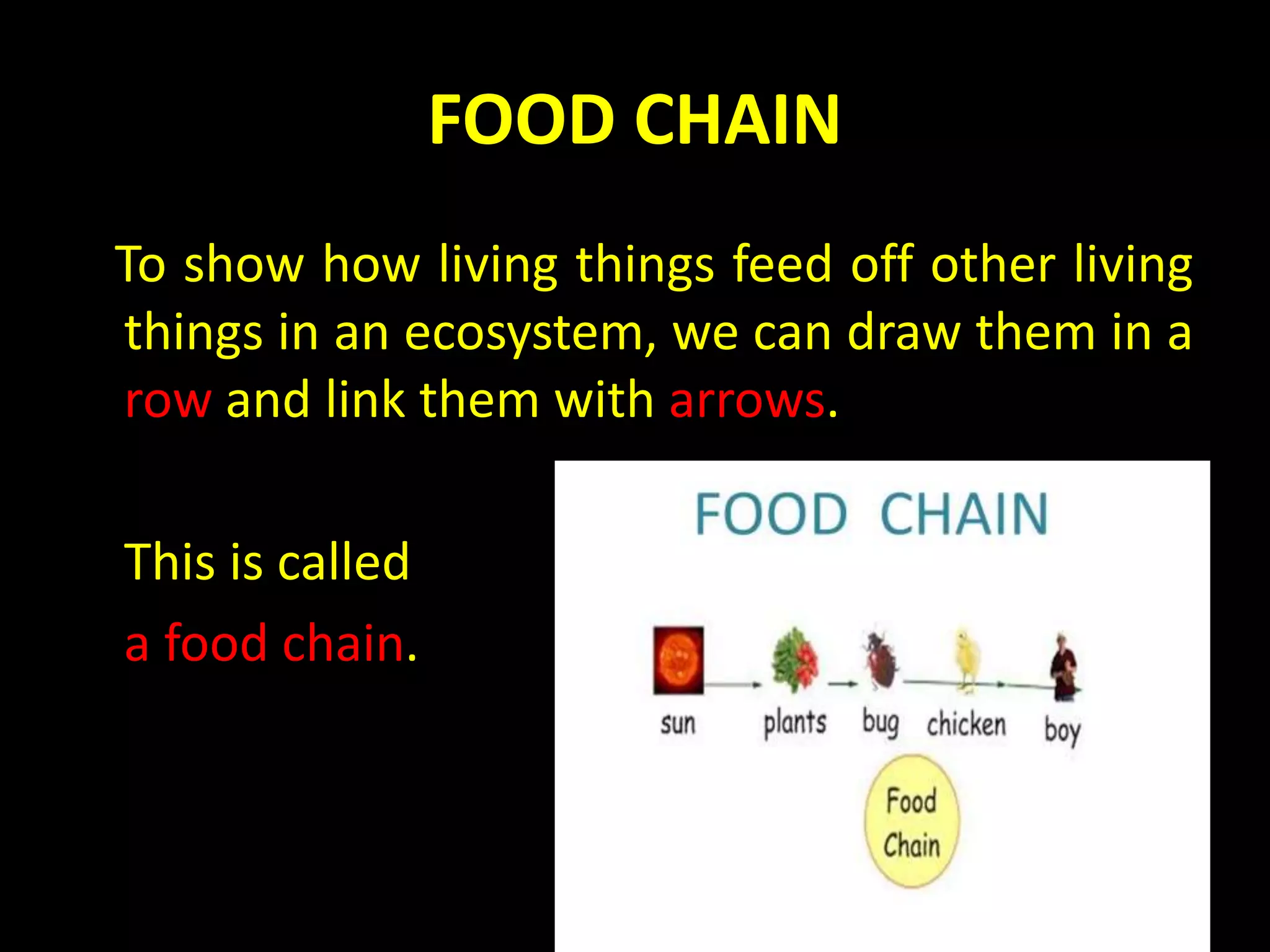 FOOD CHAIN
To show how living things feed off other living
things in an ecosystem, we can draw them in a
row and link them with arrows.
This is called
a food chain.
 