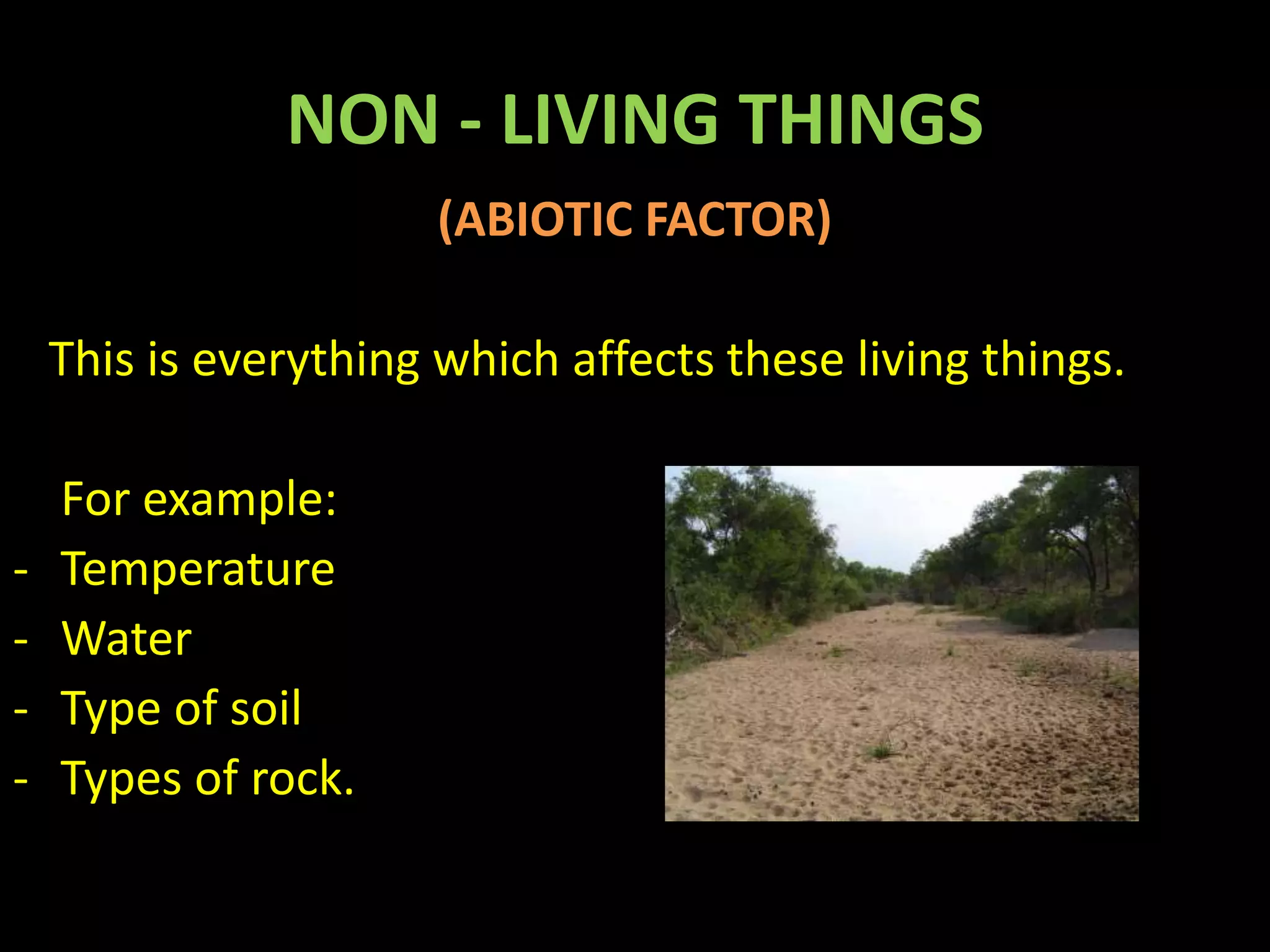 NON - LIVING THINGS
(ABIOTIC FACTOR)
This is everything which affects these living things.
For example:
- Temperature
- Water
- Type of soil
- Types of rock.
 