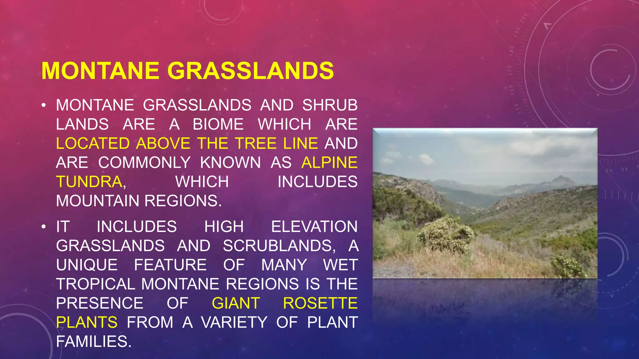 Ecosystem(environmental studies, forests, desert, grasslands, aquatic ...