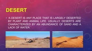 Desert Description Ecosystem(environmental studies, forests, desert, grasslands, aquatic ...