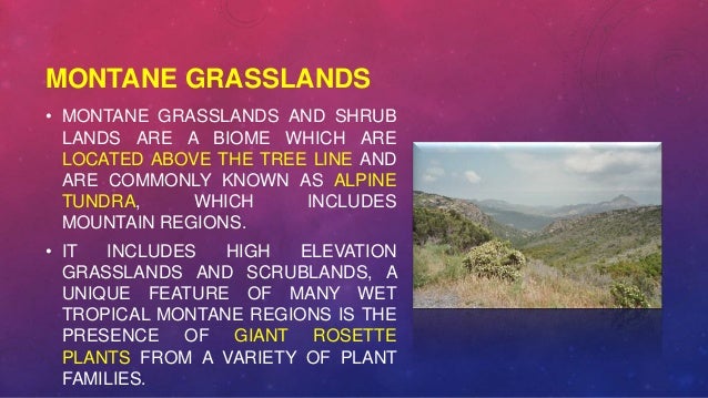 Ecosystem Environmental Studies Forests Desert Grasslands Aquatic