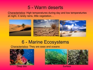 5 - Warm deserts
Characteristics: High temperatures during day and low temperaturtes
at night, it rarely rains, little vegetation…
6 - Marine Ecosystems
Characteristics: They are seas and oceans
Deep sea Surface
 