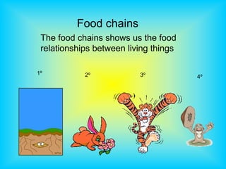 Food chains
The food chains shows us the food
relationships between living things
1º 2º 3º 4º
 