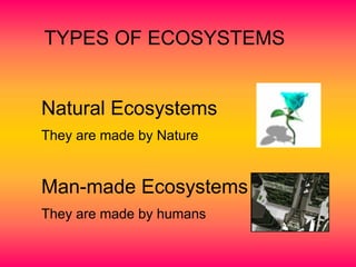 TYPES OF ECOSYSTEMS
Natural Ecosystems
They are made by Nature
Man-made Ecosystems
They are made by humans
 