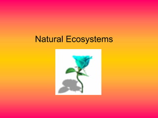 Natural Ecosystems
 