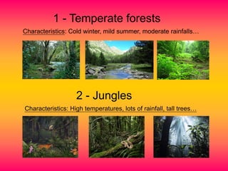 1 - Temperate forests
Characteristics: Cold winter, mild summer, moderate rainfalls…
2 - Jungles
Characteristics: High temperatures, lots of rainfall, tall trees…
 