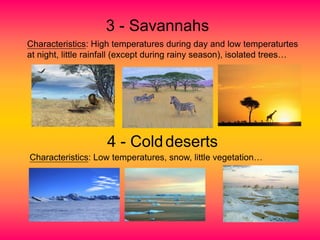 3 - Savannahs
Characteristics: High temperatures during day and low temperaturtes
at night, little rainfall (except during rainy season), isolated trees…
4 - Colddeserts
Characteristics: Low temperatures, snow, little vegetation…
 