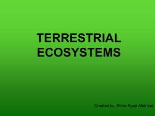 TERRESTRIAL
ECOSYSTEMS
Created by: Alicia Egea Atiénzar.
 