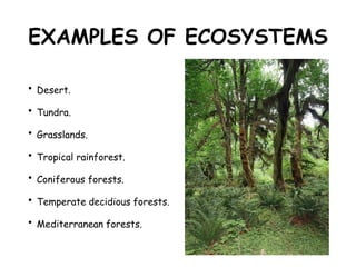 EXAMPLES OF ECOSYSTEMS
• Desert.
• Tundra.
• Grasslands.
• Tropical rainforest.
• Coniferous forests.
• Temperate decidious forests.
• Mediterranean forests.
 