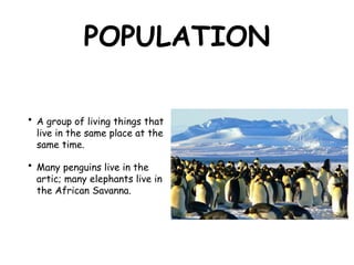 POPULATION
• A group of living things that
live in the same place at the
same time.
• Many penguins live in the
artic; many elephants live in
the African Savanna.
 