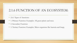 2.1.6 FUNCTION OF AN ECOSYSTEM:
• 2.6.1 Types of functions:
• 1. Primary Function: Examples: All green plants and trees.
• 2. Secondary Function:
• 3. Tertiary Function: Examples: Micro organisms like bacteria and fungi,
 