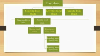 Food chain
Grazing food
chain
Terrestrial food
chain
Aquatic food
chain
Marine food
chain
Freshwater
food chain
Standing water
food chain
Running water
food chain
Detritus food
chain
Parasite food
chain
 