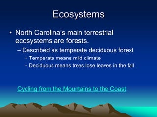 Ecosystems
• North Carolina’s main terrestrial
ecosystems are forests.
– Described as temperate deciduous forest
• Temperate means mild climate
• Deciduous means trees lose leaves in the fall
Cycling from the Mountains to the Coast
 