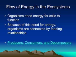 Flow of Energy in the Ecosystems
• Organisms need energy for cells to
function
• Because of this need for energy,
organisms are connected by feeding
relationships
• Producers, Consumers, and Decomposers
 