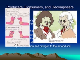 Producers, Consumers, and Decomposers
• Decomposers
– An organism that gets energy by breaking down the
remains of dead organisms and the wastes of living
things.
– Another kind of heterotroph
– Most fungi and bacteria fall into this category
– Earthworms and insects also
– They are often called nature’s recyclers
– They return carbon and nitrogen to the air and soil.
 