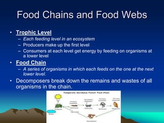 Food Chains and Food Webs
• Trophic Level
– Each feeding level in an ecosystem
– Producers make up the first level
– Consumers at each level get energy by feeding on organisms at
a lower level
• Food Chain
– A series of organisms in which each feeds on the one at the next
lower level.
• Decomposers break down the remains and wastes of all
organisms in the chain.
 
