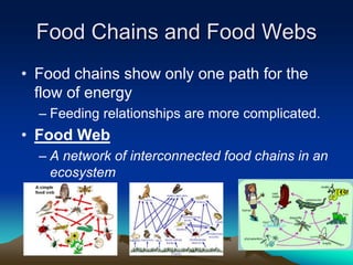 Food Chains and Food Webs
• Food chains show only one path for the
flow of energy
– Feeding relationships are more complicated.
• Food Web
– A network of interconnected food chains in an
ecosystem
 