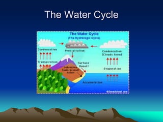 The Water Cycle
 