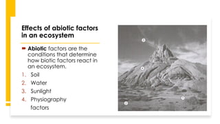 Ecosystems and the diversity of life on earth.pptx