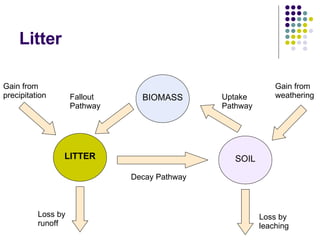 Ecosystems 3 Nutrient Cycle | PPT