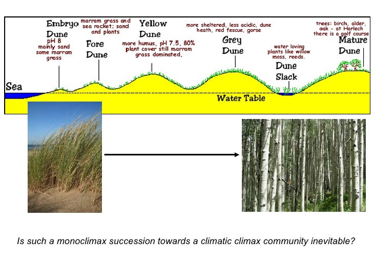 Ecosystems 7 Plant Succession Theories