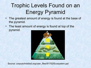 Trophic Levels Found on an 
Energy Pyramid 
• The greatest amount of energy is found at the base of 
the pyramid. 
• The least amount of energy is found at top of the 
pyramid. 
Source: corpuschristiisd.org/user_files/91702/Ecosystem.ppt 
 