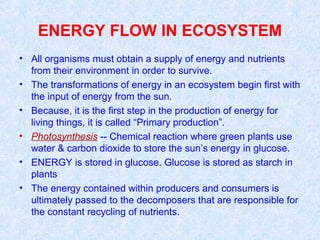 ENERGY FLOW IN ECOSYSTEM 
• All organisms must obtain a supply of energy and nutrients 
from their environment in order to survive. 
• The transformations of energy in an ecosystem begin first with 
the input of energy from the sun. 
• Because, it is the first step in the production of energy for 
living things, it is called “Primary production”. 
• Photosynthesis -- Chemical reaction where green plants use 
water & carbon dioxide to store the sun’s energy in glucose. 
• ENERGY is stored in glucose. Glucose is stored as starch in 
plants 
• The energy contained within producers and consumers is 
ultimately passed to the decomposers that are responsible for 
the constant recycling of nutrients. 
 