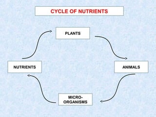 PLANTS 
ANIMALS 
MICRO-ORGANISMS 
NUTRIENTS 
CYCLE OF NUTRIENTS 
 