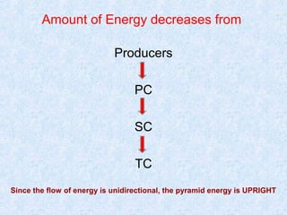 Amount of Energy decreases from 
Producers 
PC 
SC 
TC 
Since the flow of energy is unidirectional, the pyramid energy is UPRIGHT 
 