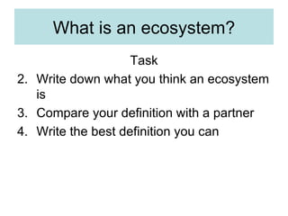 What is an ecosystem? Task Write down what you think an ecosystem is Compare your definition with a partner Write the best definition you can