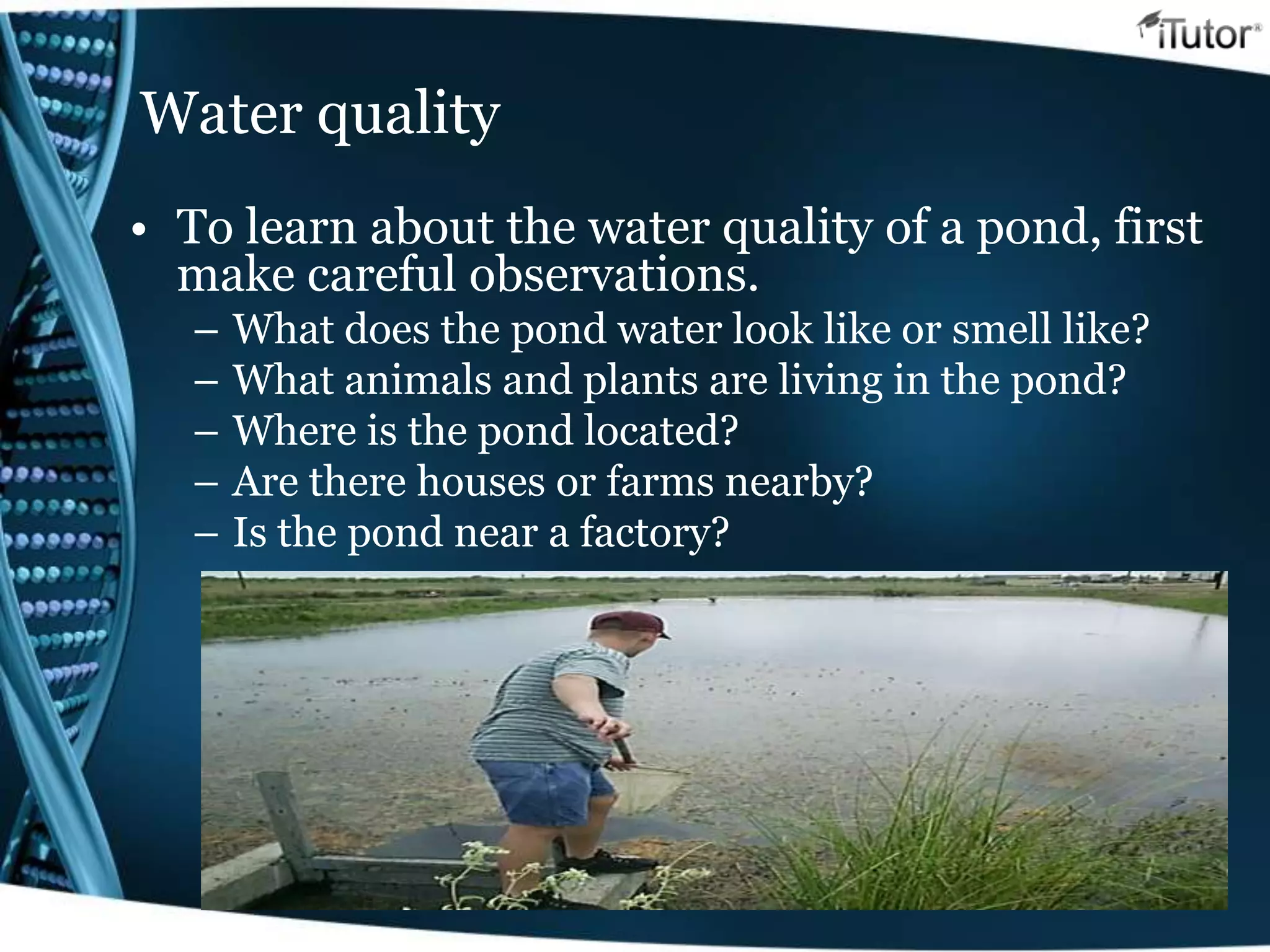 Water quality
• To learn about the water quality of a pond, first
make careful observations.
– What does the pond water look like or smell like?
– What animals and plants are living in the pond?
– Where is the pond located?
– Are there houses or farms nearby?
– Is the pond near a factory?
 