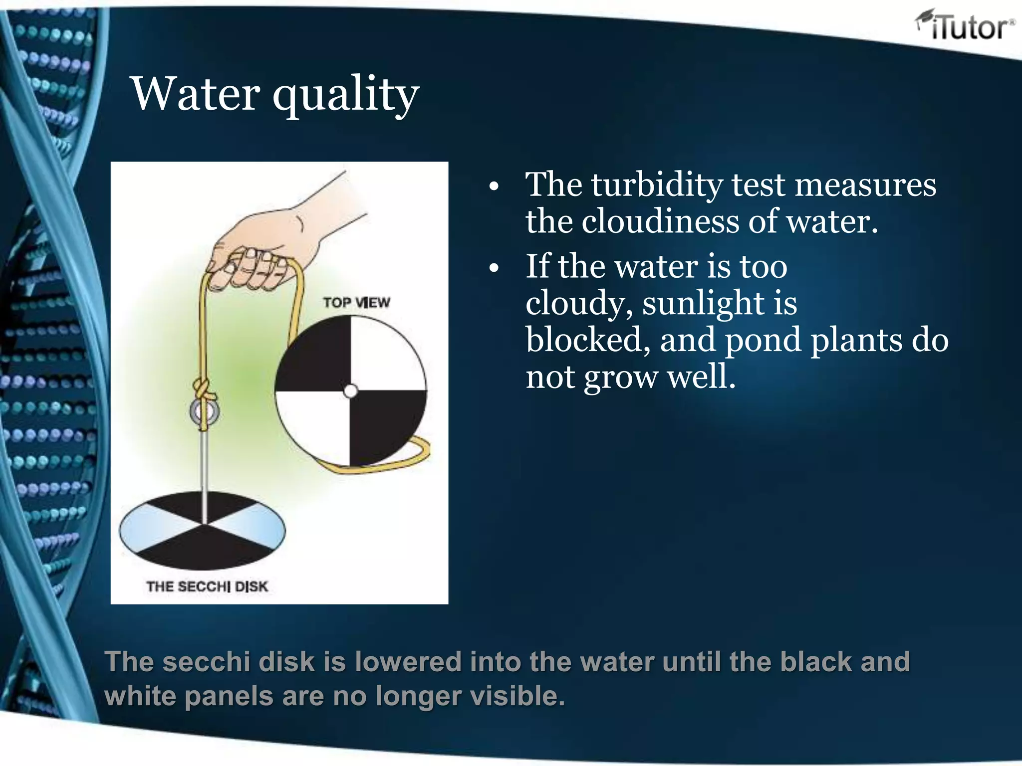 Water quality
• The turbidity test measures
the cloudiness of water.
• If the water is too
cloudy, sunlight is
blocked, and pond plants do
not grow well.
The secchi disk is lowered into the water until the black and
white panels are no longer visible.
 