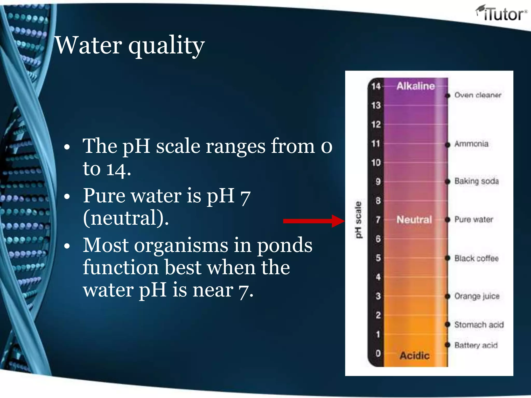 Water quality
• The pH scale ranges from 0
to 14.
• Pure water is pH 7
(neutral).
• Most organisms in ponds
function best when the
water pH is near 7.
 