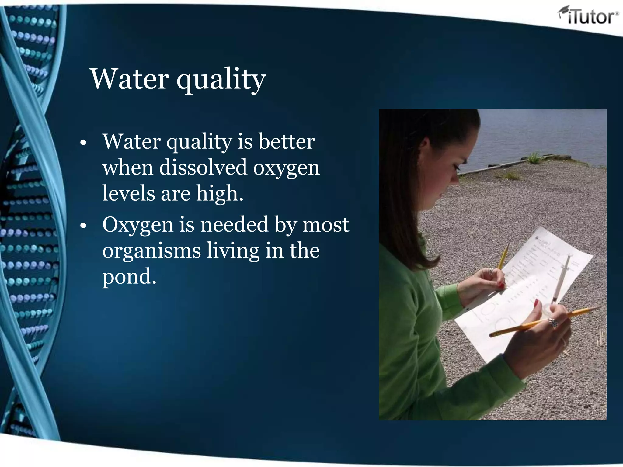 Water quality
• Water quality is better
when dissolved oxygen
levels are high.
• Oxygen is needed by most
organisms living in the
pond.
 