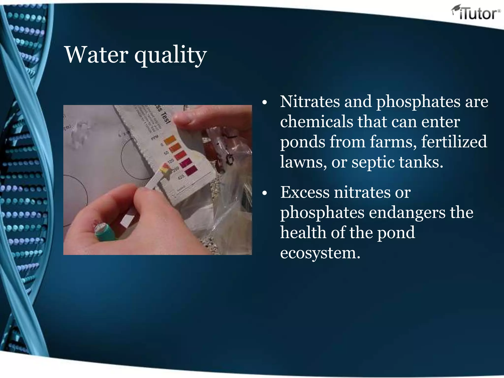 Water quality
• Nitrates and phosphates are
chemicals that can enter
ponds from farms, fertilized
lawns, or septic tanks.
• Excess nitrates or
phosphates endangers the
health of the pond
ecosystem.
 