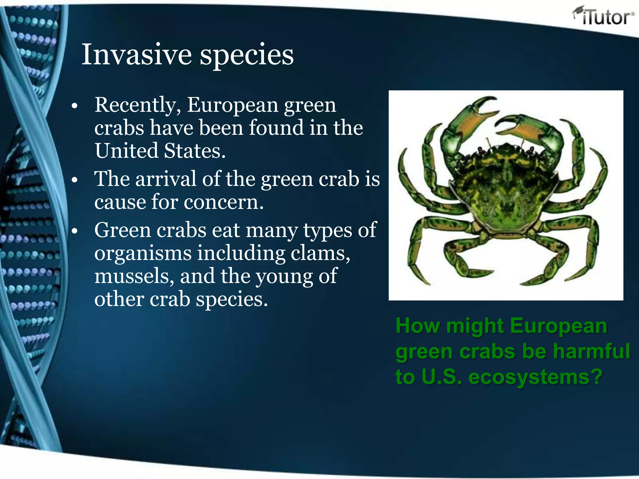 Invasive species
• Recently, European green
crabs have been found in the
United States.
• The arrival of the green crab is
cause for concern.
• Green crabs eat many types of
organisms including clams,
mussels, and the young of
other crab species.
How might European
green crabs be harmful
to U.S. ecosystems?
 