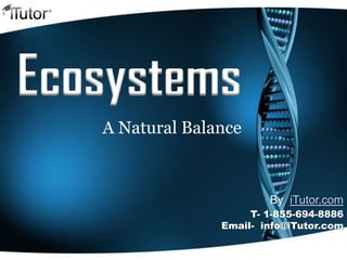 Ecosystems
A Natural Balance
T- 1-855-694-8886
Email- info@iTutor.com
By iTutor.com
 