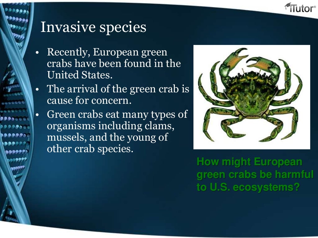 Importance of ecological balance image