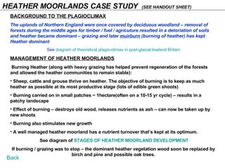 HEATHER MOORLANDS CASE STUDY  (SEE HANDOUT SHEET) BACKGROUND TO THE PLAGIOCLIMAX The uplands of Northern England were once covered by deciduous woodland – removal of forests during the middle ages for timber / fuel / agricuture resulted in a detoriation of soils and heather became dominant – grazing and later  muirburn  (burning of heather) has kept Heather dominant See  diagram of theoretical plagio-climax in post-glacial lowland Britain MANAGEMENT OF HEATHER MOORLANDS Burning Heather (along with heavy grazing has helped prevent regeneration of the forests and allowed the heather communities to remain stable): Sheep, cattle and grouse thrive on heather. The objective of burning is to keep as much heather as possible at its most productive stage (lots of edible green shoots) Burning carried on in small patches ~ 1hectare(often on a 10-15 yr cycle) – results in a patchy landscape Effect of burning – destroys old wood, releases nutrients as ash – can now be taken up by new shoots Burning also stimulates new growth A well managed heather moorland has a nutrient turnover that’s kept at its optimum. See diagram of  STAGES OF HEATHER MOORLAND DEVELOPMENT If burning / grazing was to stop – the dominant heather vegetation wood soon be replaced by birch and pine and possible oak trees. Back 