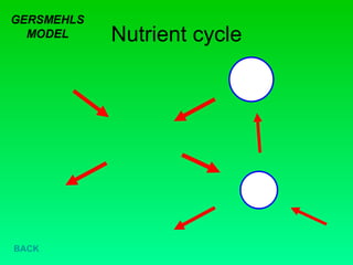 Nutrient cycle GERSMEHLS MODEL BACK 