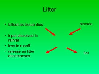 Litter fallout as tissue dies input dissolved in rainfall loss in runoff release as litter decomposes Biomass Soil 