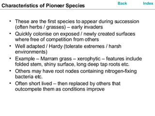 Characteristics of Pioneer Species These are the first species to appear during succession (often herbs / grasses) – early invaders Quickly colonise on exposed / newly created surfaces where free of competition from others Well adapted / Hardy (tolerate extremes / harsh environments)  Example – Marram grass – xerophytic – features include folded stem, shiny surface, long deep tap roots etc. Others may have root nodes containing nitrogen-fixing bacteria etc. Often short lived – then replaced by others that outcompete them as conditions improve Index Back 