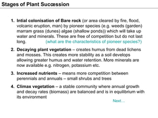 Intial colonisation of Bare rock  (or area cleared by fire, flood, volcanic eruption, man) by pioneer species (e.g. weeds (garden) marram grass (dunes) algae (shallow ponds)) which will take up water and minerals. These are free of competition but do not last long.  (what are the characteristics of pioneer species?) Decaying plant vegetation  – creates humus from dead lichens and mosses. This creates more stability as a soil develops allowing greater humus and water retention. More minerals are now available e.g. nitrogen, potassium etc. Increased nutrients  – means more competition between perennials and annuals – small shrubs and trees Climax vegetation  – a stable community where annual growth and decay rates (biomass) are balanced and is in equilibrium with its environment Stages of Plant Succession Next… 