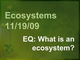 Ecosystems11/19/09 EQ: What is an ecosystem? 