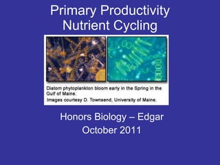 Primary Productivity Nutrient Cycling Honors Biology – Edgar October 2011 
