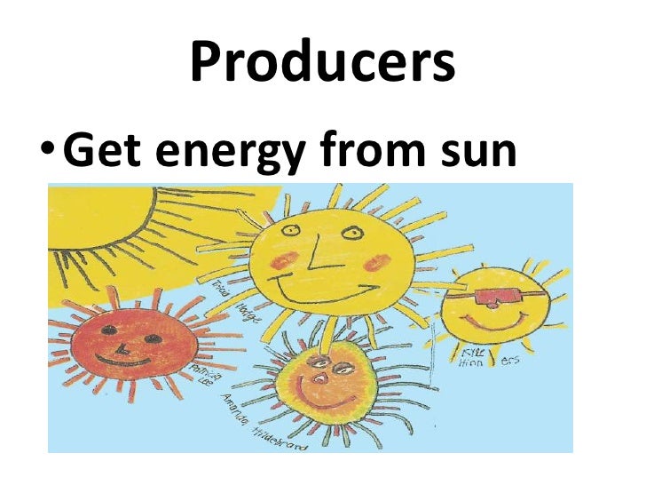 Producers Consumers Decomposers
