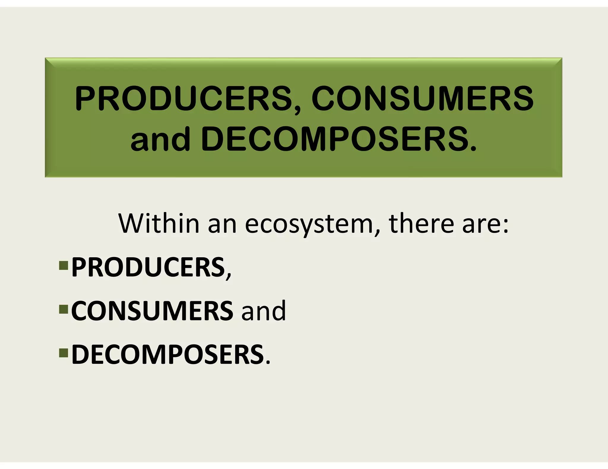 PRODUCERS, CONSUMERS
and DECOMPOSERS.
Within an ecosystem, there are:
PRODUCERS,
CONSUMERS and
DECOMPOSERS.
 