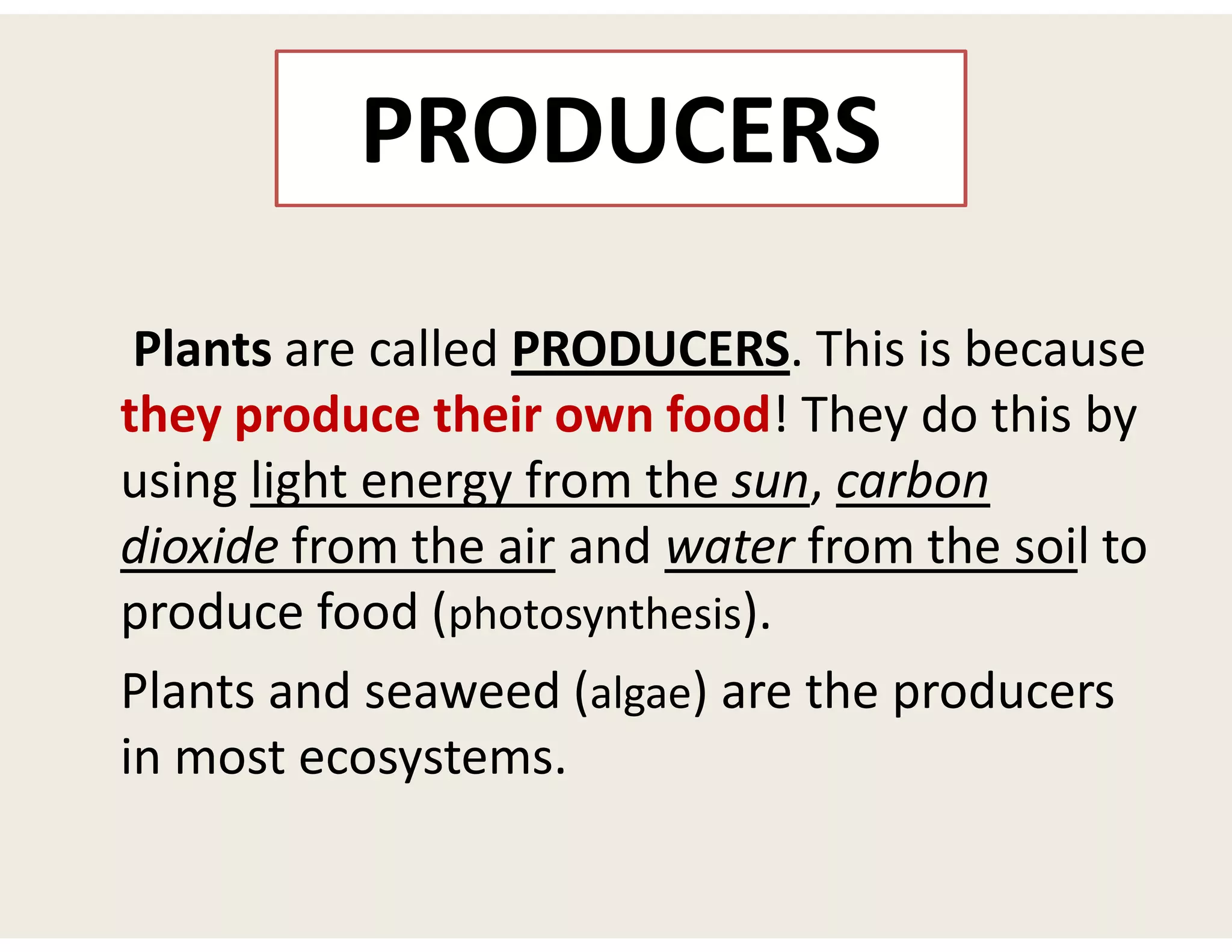 PRODUCERS
Plants are called PRODUCERS. This is because
they produce their own food! They do this by
using light energy from the sun, carbon
dioxide from the air and water from the soil to
produce food (photosynthesis).
Plants and seaweed (algae) are the producers
in most ecosystems.
 