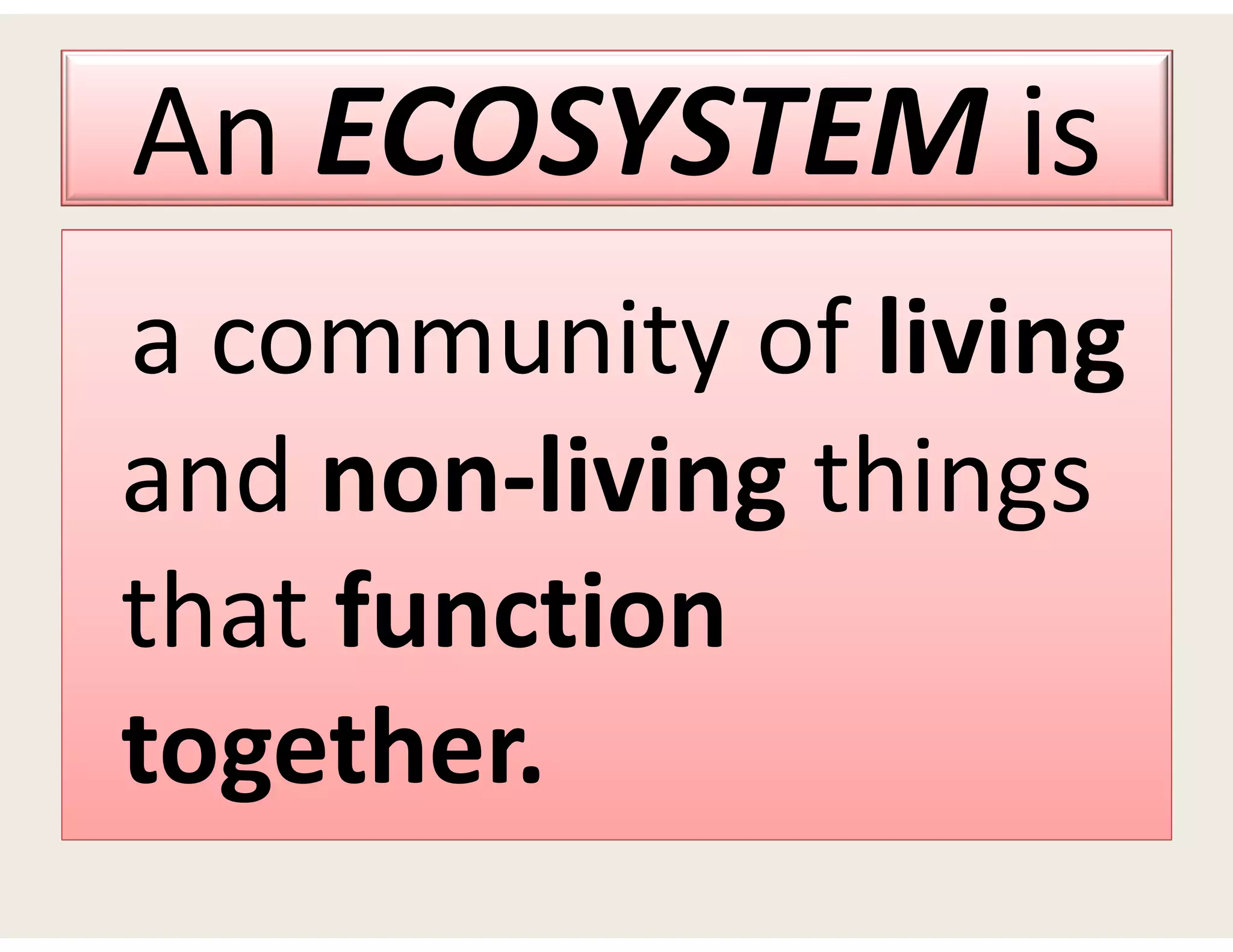 An ECOSYSTEM is
a community of living
and non-living things
that function
together.
a community of living
and non-living things
that function
together.
 